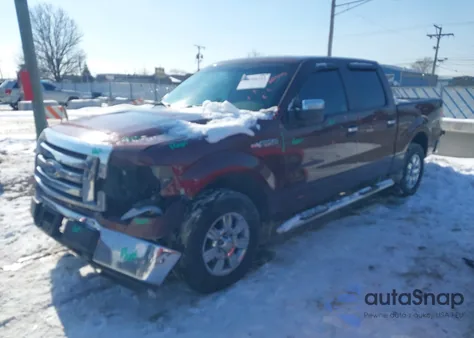 2010 Ford F-150 Fx2 Sport/Xl/Xlt z USA, uszkodzony, nr VIN 1FTEW1C81AFD43121